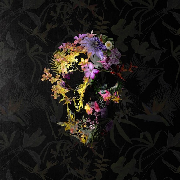 Meet your Posher, Danny - Picture 1 of 1